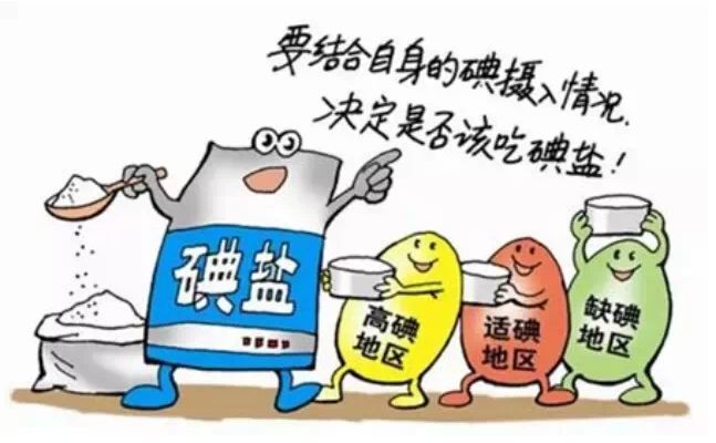 麻豆视频三级片厂家