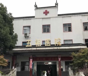 黄梅县五祖镇卫生院采购微量元素测试仪 黄梅县五祖镇卫生院采购微量元素测试仪