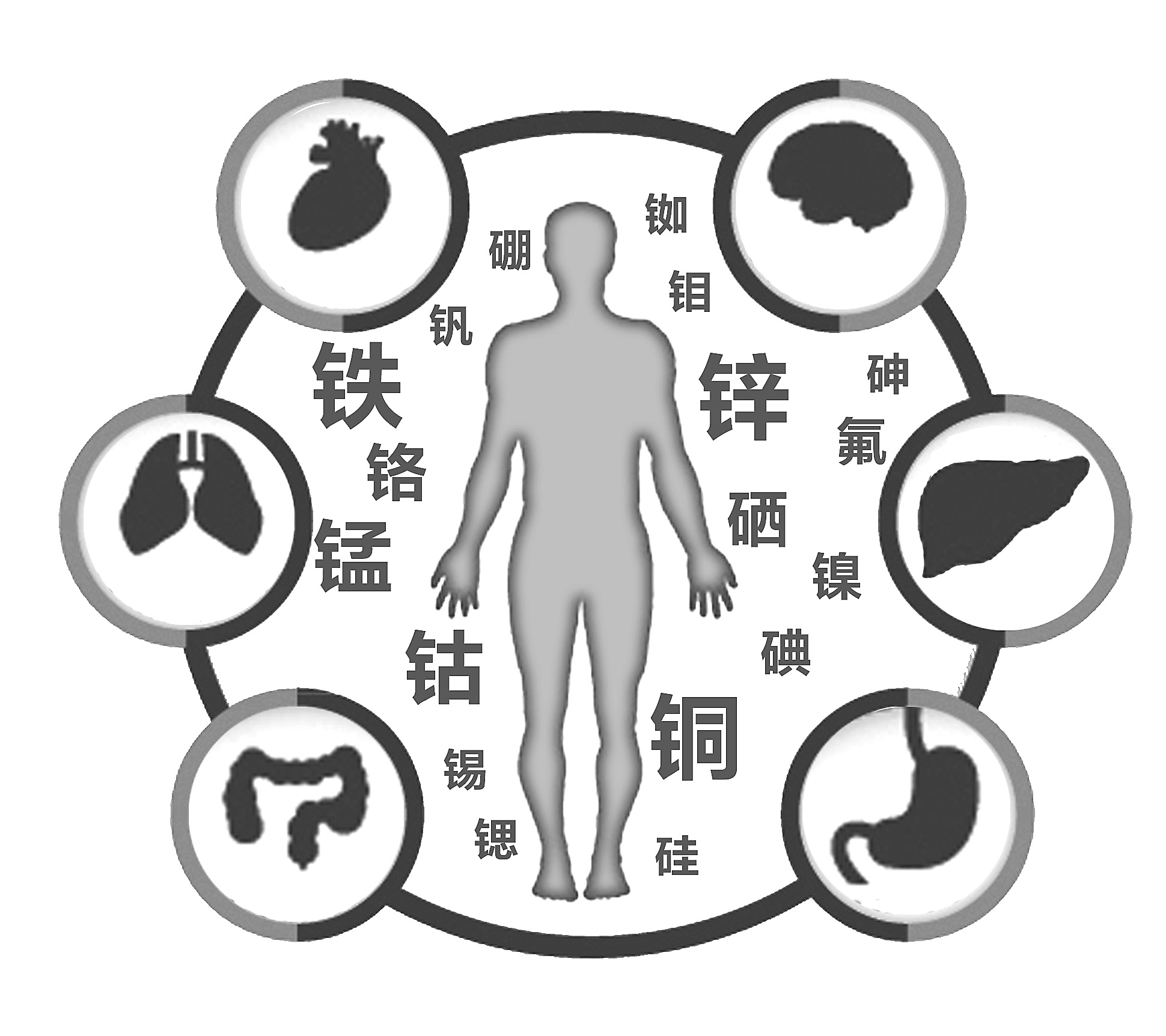 一区二区三区国产传媒麻豆检查有必要吗