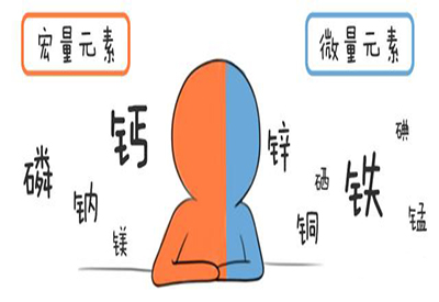 全自动一区二区三区国产传媒麻豆介绍缺少微量元素的危害