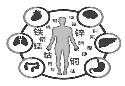 医用麻豆视频三级片微量元素是什么怎么补