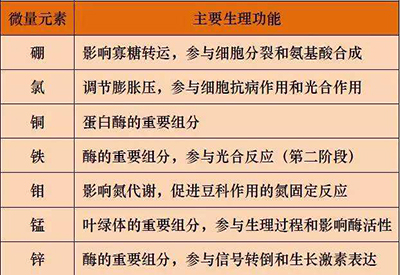 全自动麻豆视频三级片厂家微量元素的对人体的生理作用