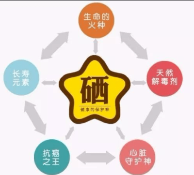 素分析仪,医用一区二区三区国产传媒麻豆,人体微