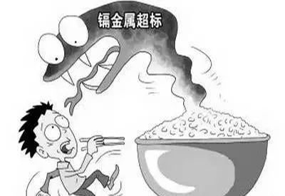 2020/1/4-全自动麻豆视频三级片-国康-镉元素对人体的作用有哪些
